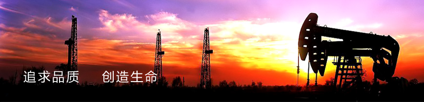 技术支持，帮助用户实现愿望